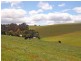 166 Cooks Road, Thorpdale VIC 3835