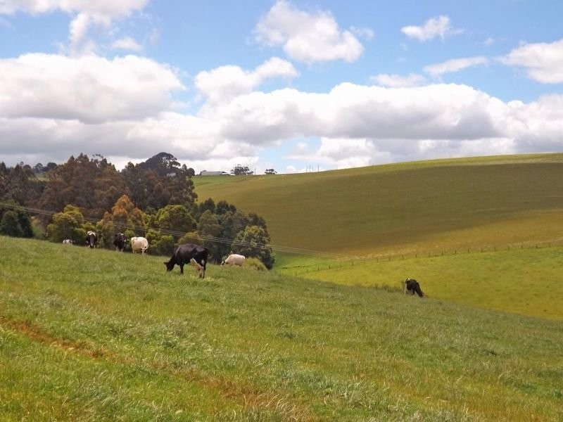 166 Cooks Road, Thorpdale VIC 3835