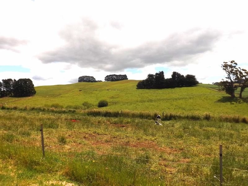 166 Cooks Road, Thorpdale VIC 3835
