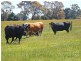 Lot 3 Weirs Road, Narracan VIC 3824