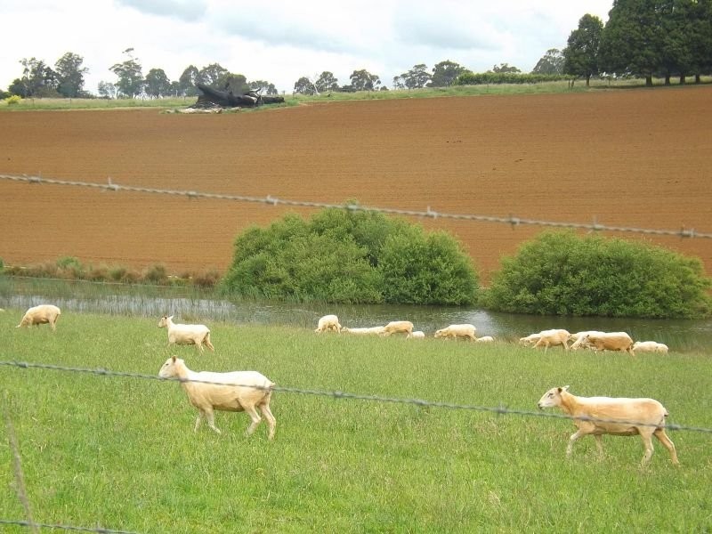 Lot 1 McDonalds Track, Thorpdale VIC 3835