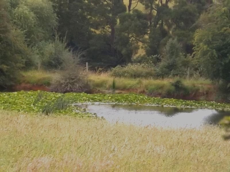 380 Saviges Road, Thorpdale VIC 3835