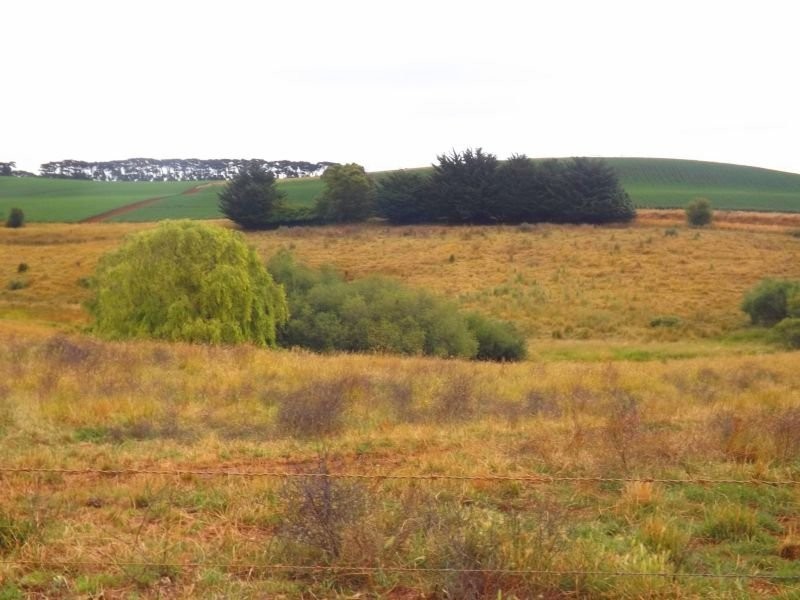 380 Saviges Road, Thorpdale VIC 3835