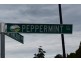 1 Peppermint Close, Trafalgar VIC 3824