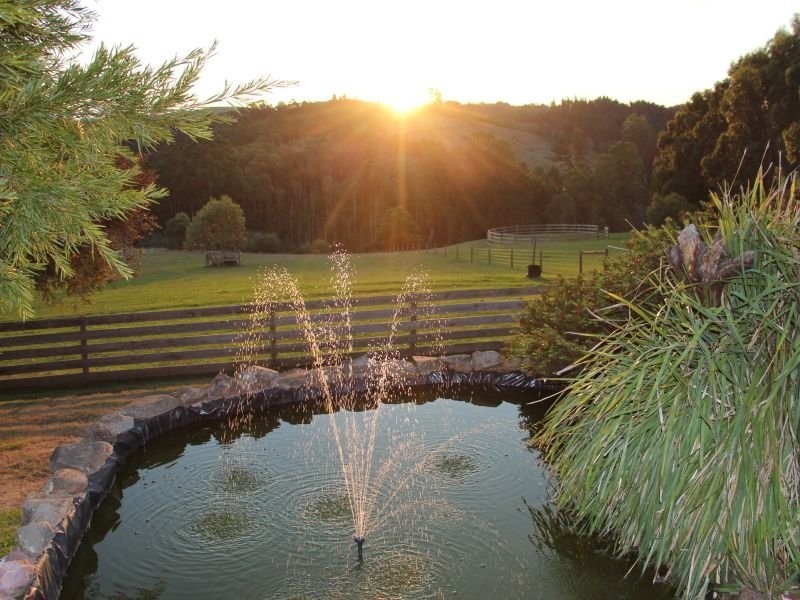 908 Sunny Creek Road, Trafalgar VIC 3824