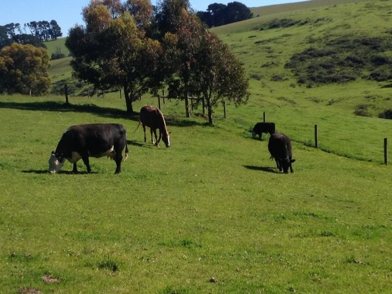 908 Sunny Creek Road, Trafalgar VIC 3824