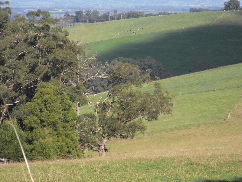 Lot 2 Paynters Road, Hill End VIC 3825