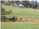 Lot 2 Paynters Road, Hill End VIC 3825