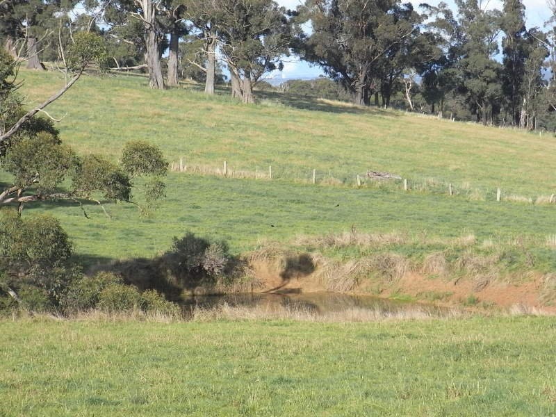 Lot 2 Paynters Road, Hill End VIC 3825