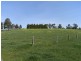 651 Moe Willow Grove Road, Tanjil South VIC 3825