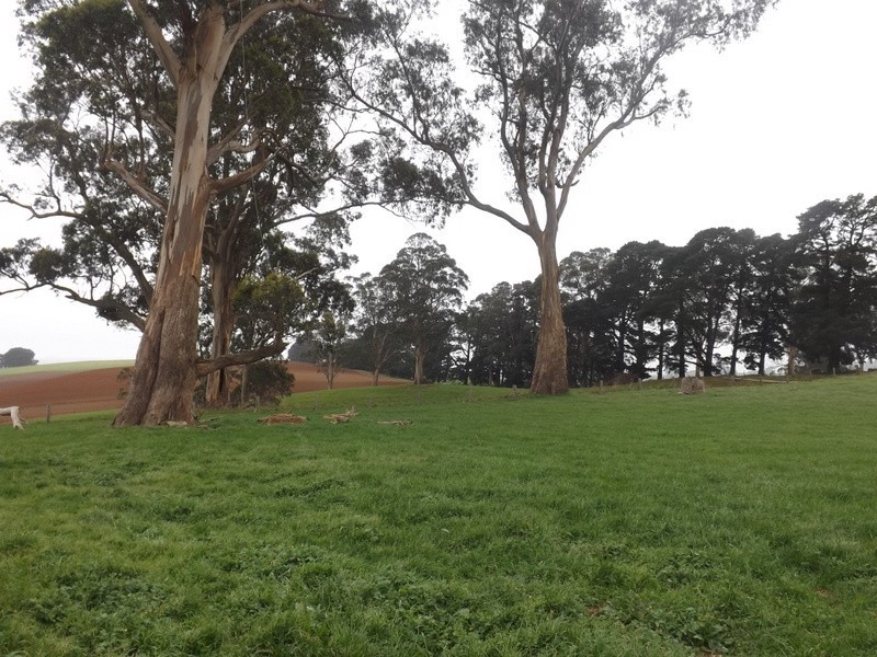 2052 Mcdonalds Track, Thorpdale VIC 3835