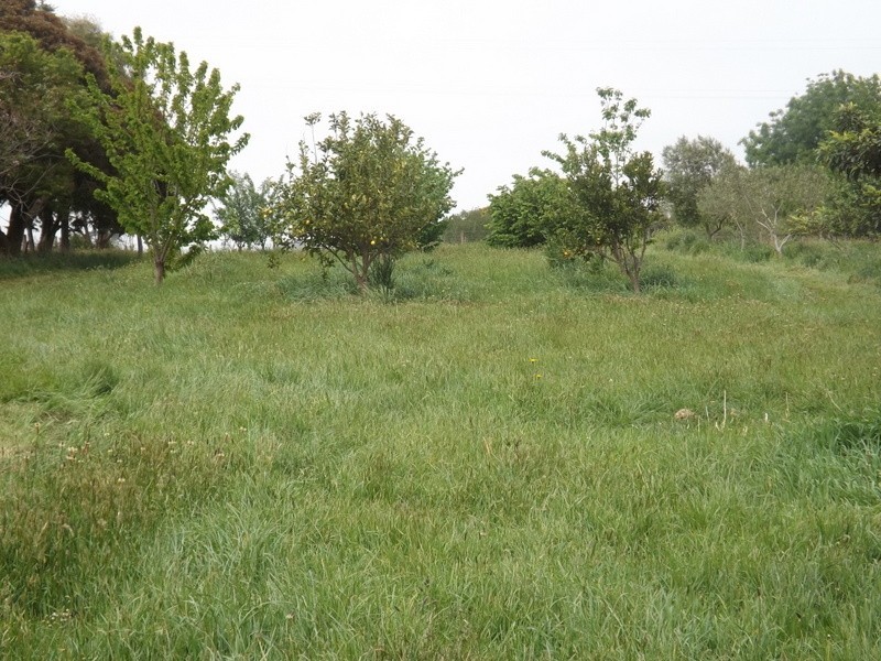 2052 Mcdonalds Track, Thorpdale VIC 3835