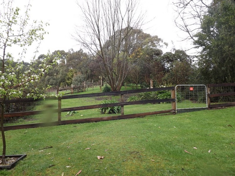 187 Allambee South Road, Thorpdale VIC 3835