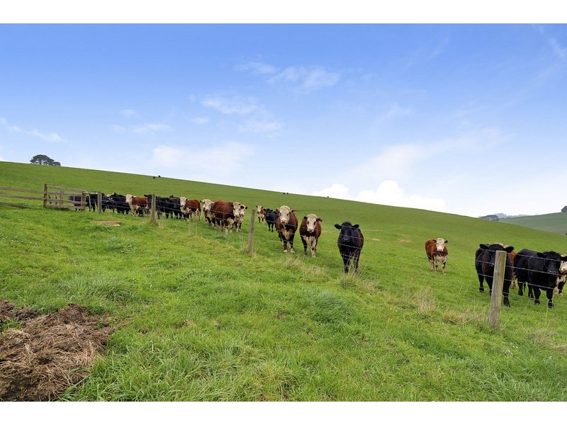 815 Allambee- Childers Road, Childers VIC 3824