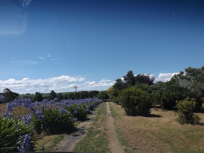 Lot 1 Cooks Road,, Thorpdale VIC 3835