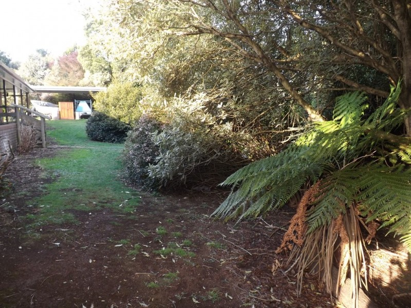 247 Lawrences Road, Trafalgar South VIC 3824