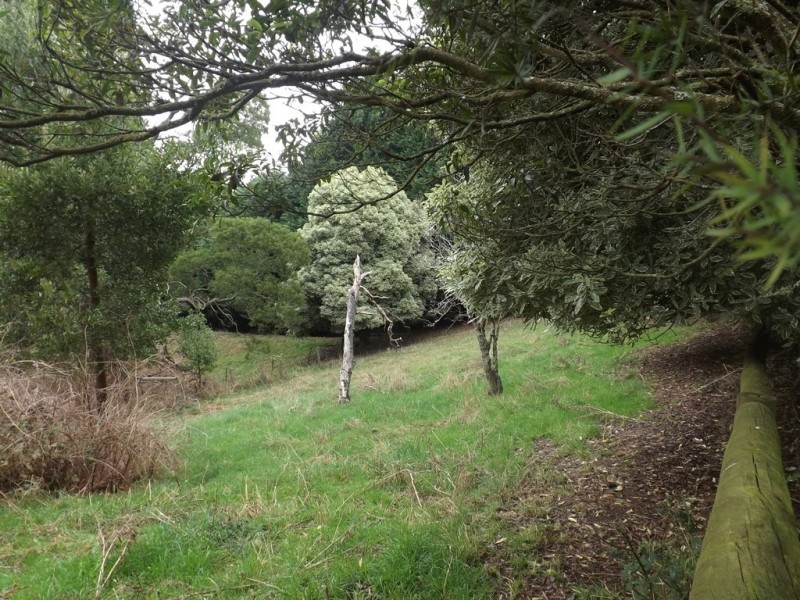 247 Lawrences Road, Trafalgar South VIC 3824