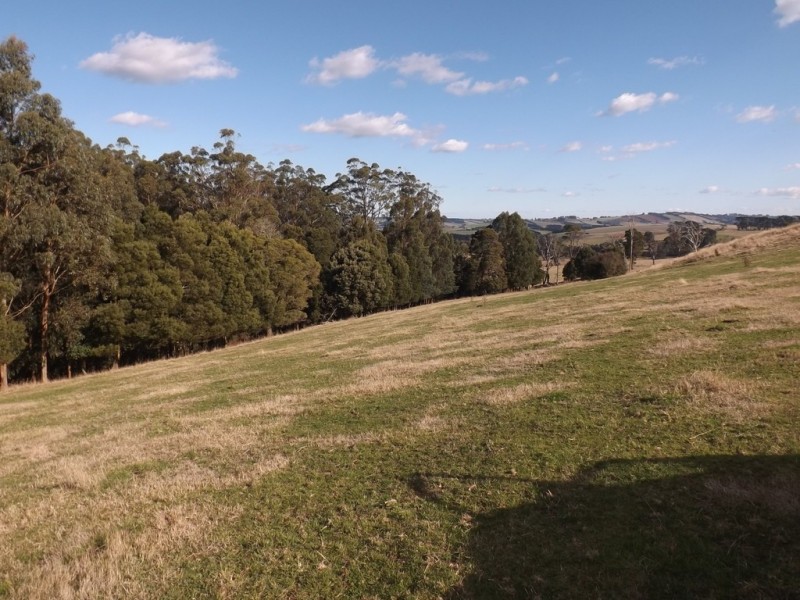 444-446 Rogers Road, Trafalgar South VIC 3824