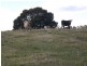 444-446 Rogers Road, Trafalgar South VIC 3824