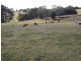 444-446 Rogers Road, Trafalgar South VIC 3824