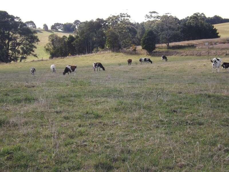 444-446 Rogers Road, Trafalgar South VIC 3824