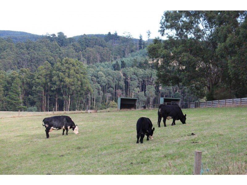 908 Sunny Creek Road, Trafalgar South VIC 3824