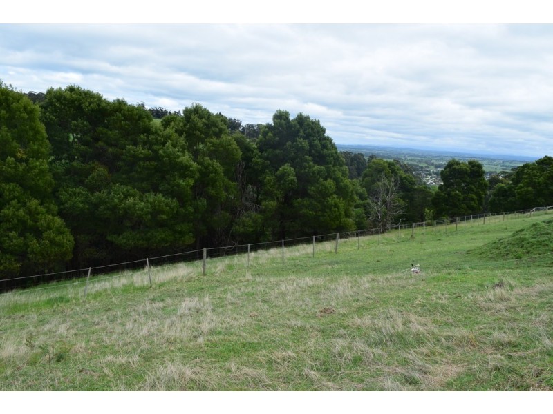 203 Mirboo North Trafalgar Road, Trafalgar VIC 3824