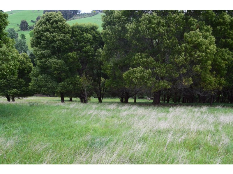 203 Mirboo North Trafalgar Road, Trafalgar VIC 3824