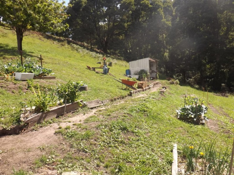 329 Earls Road, Yarragon South VIC 3823