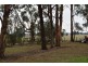 21 Settlement Road, Trafalgar VIC 3824