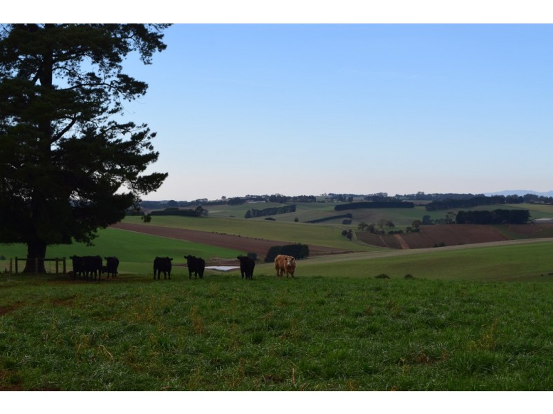 2794 McDonalds Track, Thorpdale VIC 3835