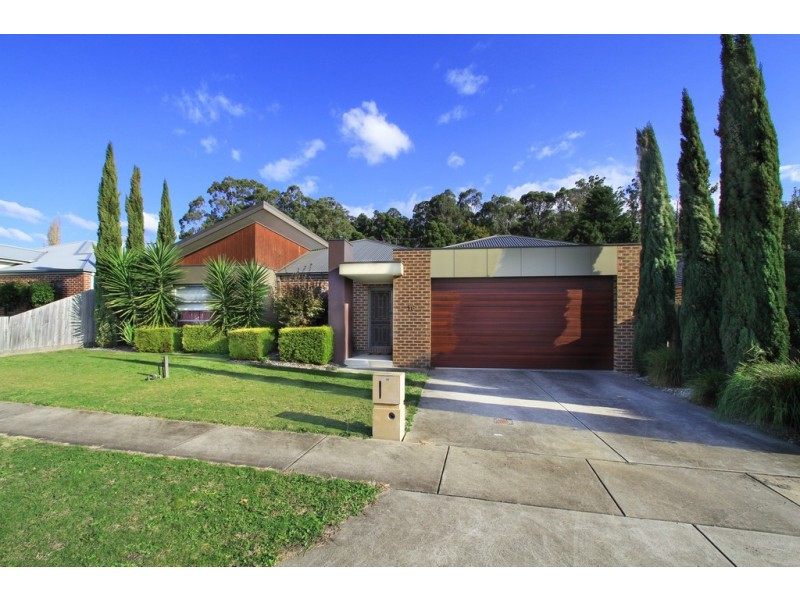 16 Fernlea Close, Trafalgar VIC 3824