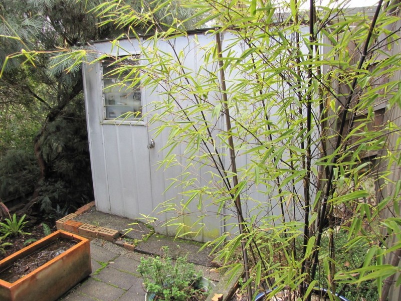 2/45 Smallburn Avenue, Newborough VIC 3825