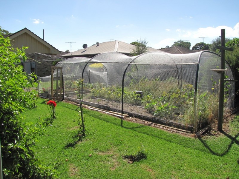 153 Lloyd Street, Moe VIC 3825