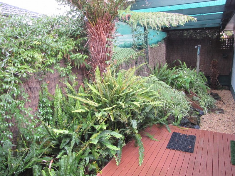 47 Scorpio Drive, Moe VIC 3825