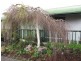 47 Scorpio Drive, Moe VIC 3825