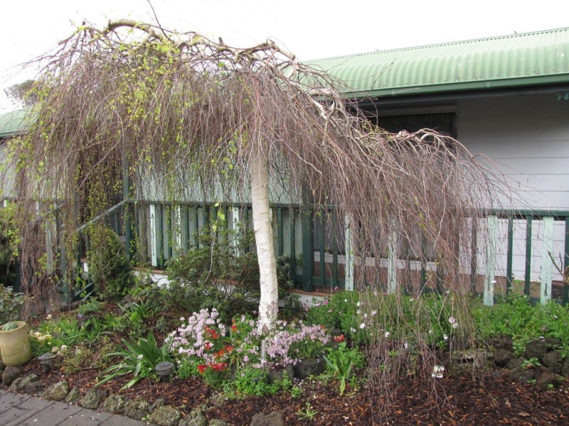 47 Scorpio Drive, Moe VIC 3825