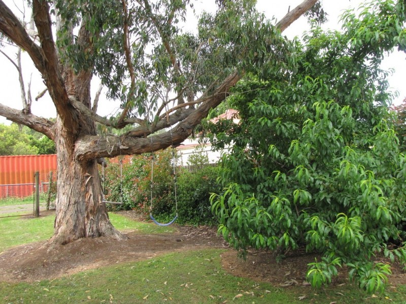 3 Henty Street, Erica VIC 3825