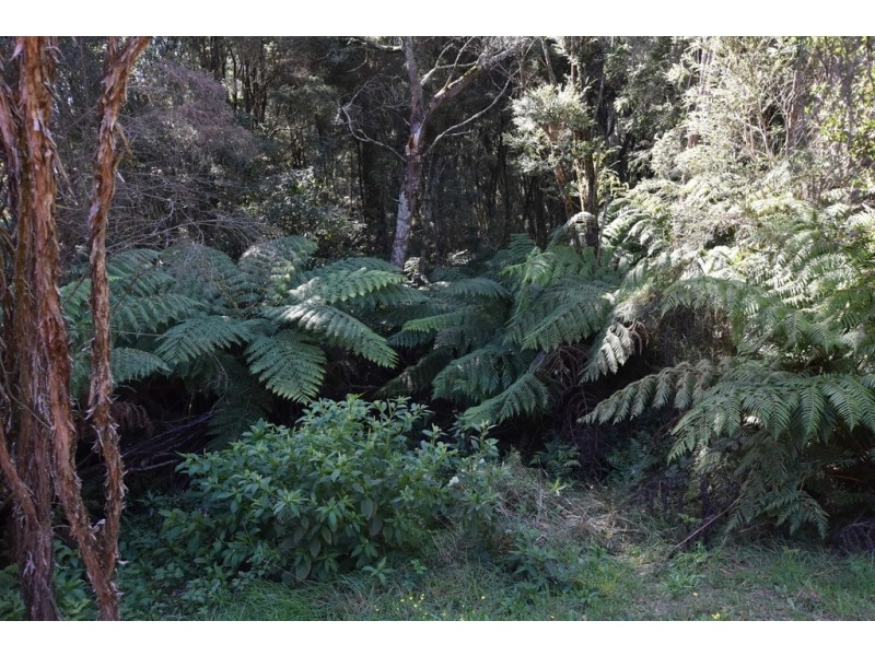 15 Yasmin Drive, Hernes Oak VIC 3825