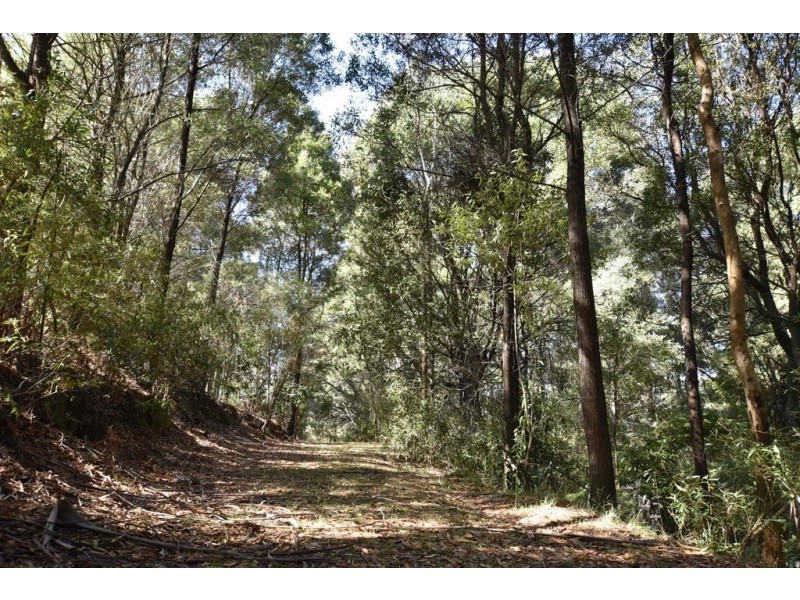 15 Yasmin Drive, Hernes Oak VIC 3825