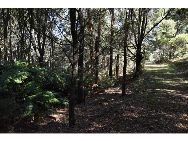 15 Yasmin Drive, Hernes Oak VIC 3825