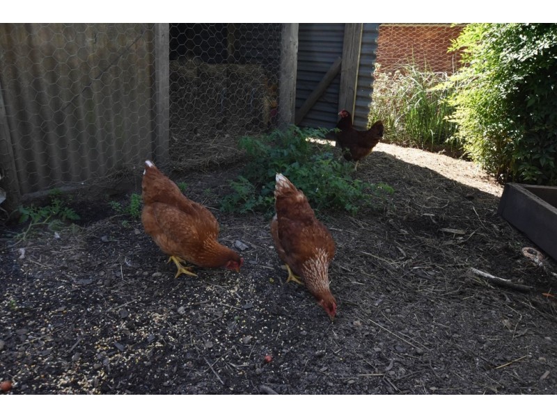 15 Yasmin Drive, Hernes Oak VIC 3825