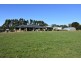 50 McPherson Road, Newborough VIC 3825