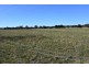 50 McPherson Road, Newborough VIC 3825