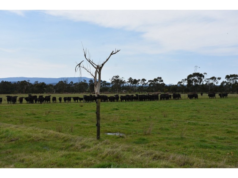 220 Waterloo Road, Moe VIC 3825