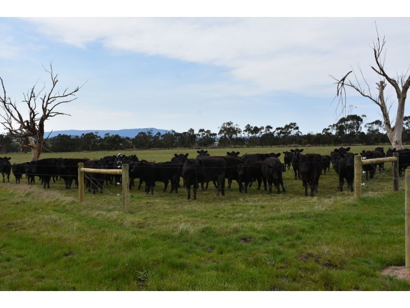 220 Waterloo Road, Moe VIC 3825