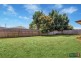28 Randall Crescent, Moe VIC 3825