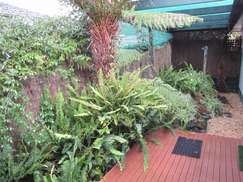 47 Scorpio Drive, Moe VIC 3825
