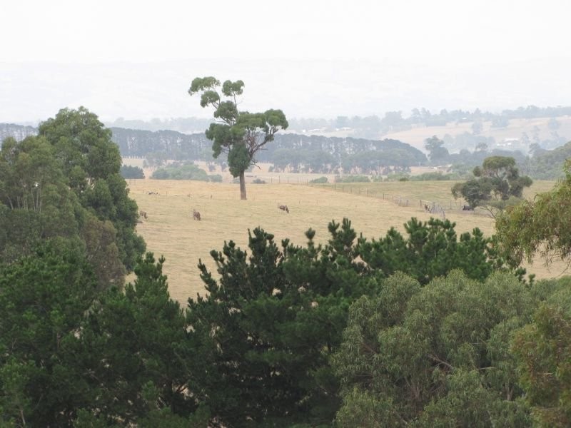 Lot 1 Thalloo Road, Tanjil South VIC 3825