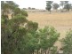 Lot 1 Thalloo Road, Tanjil South VIC 3825